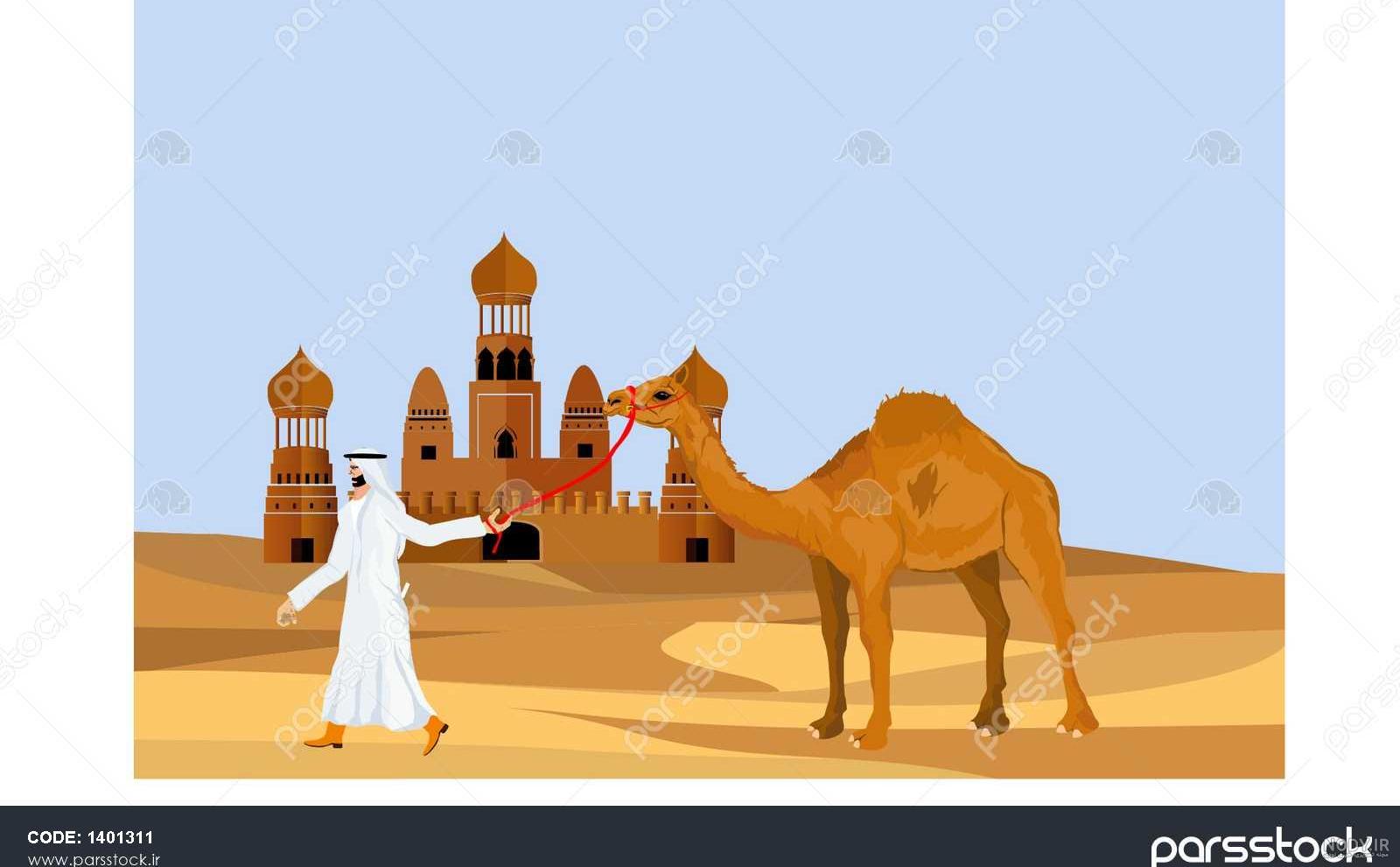وزن شتر وزن شتر