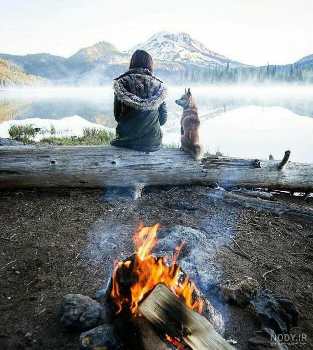 پروفایل تنهایی بهتره تا گدایی محبت