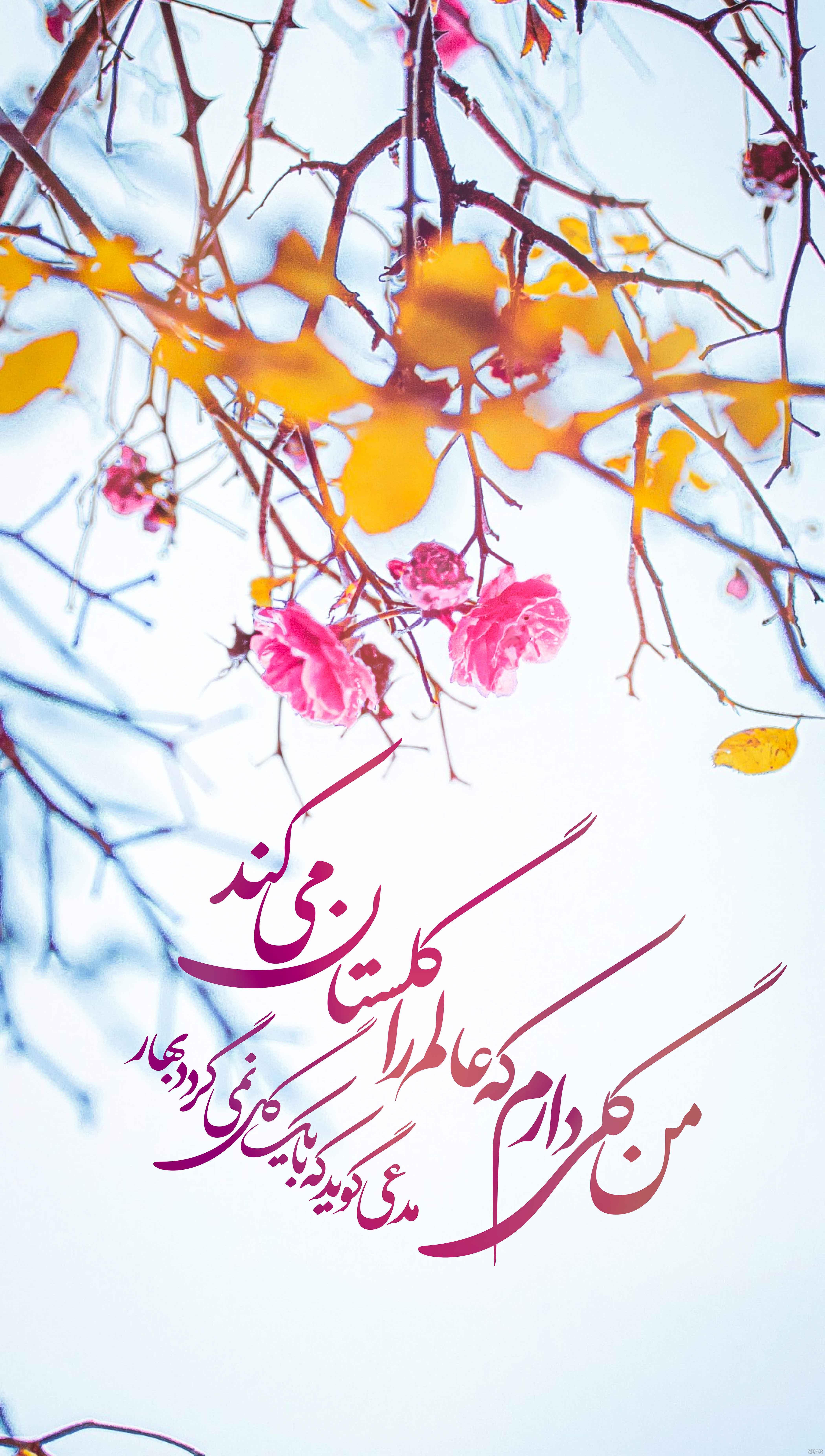 کلیپ جمعه های دلتنگی امام زمان کلیپ جمعه های دلتنگی امام زمان