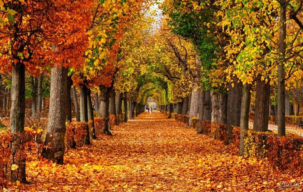  عکس پاییز بارانی
