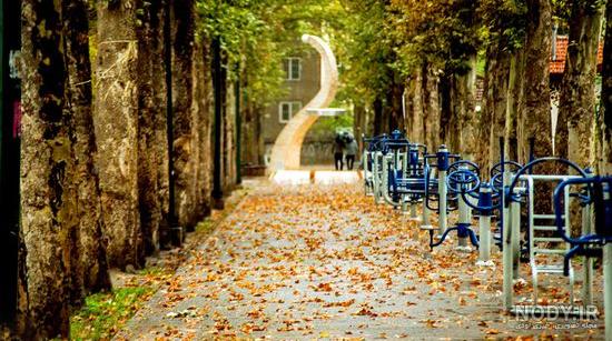  عکس پاییز بارانی