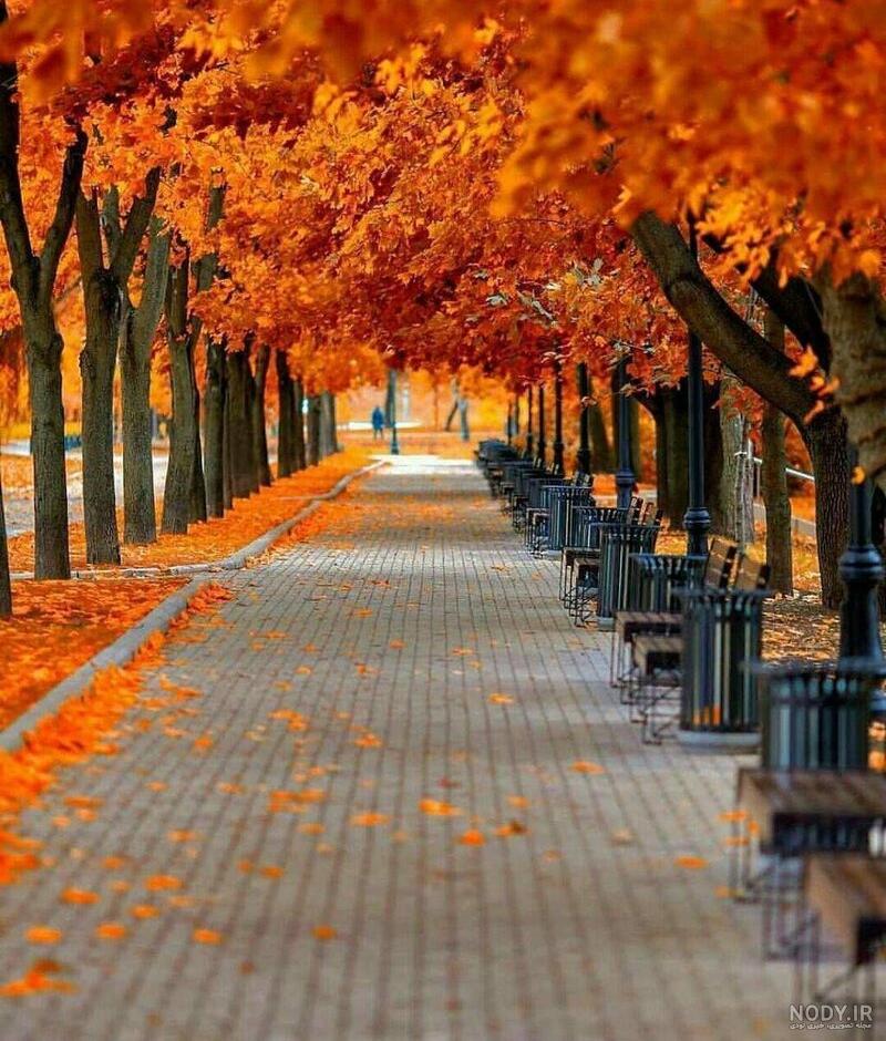  عکس پاییز بارانی