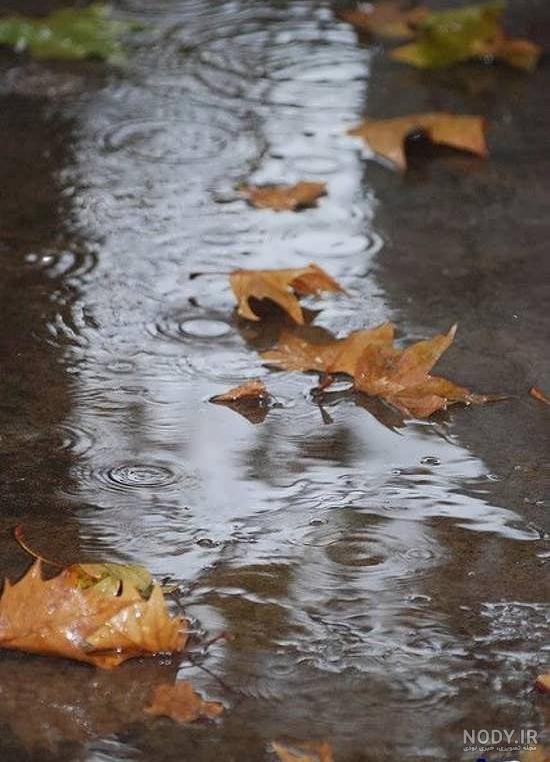  عکس پاییز بارانی
