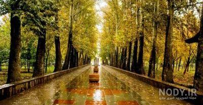  عکس پاییز بارانی