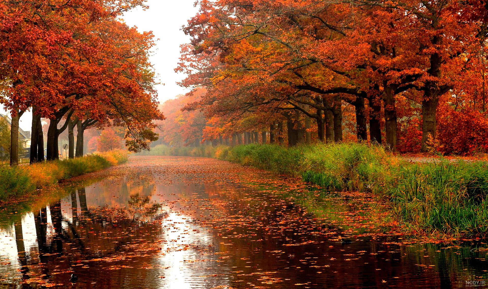  عکس پاییز بارانی