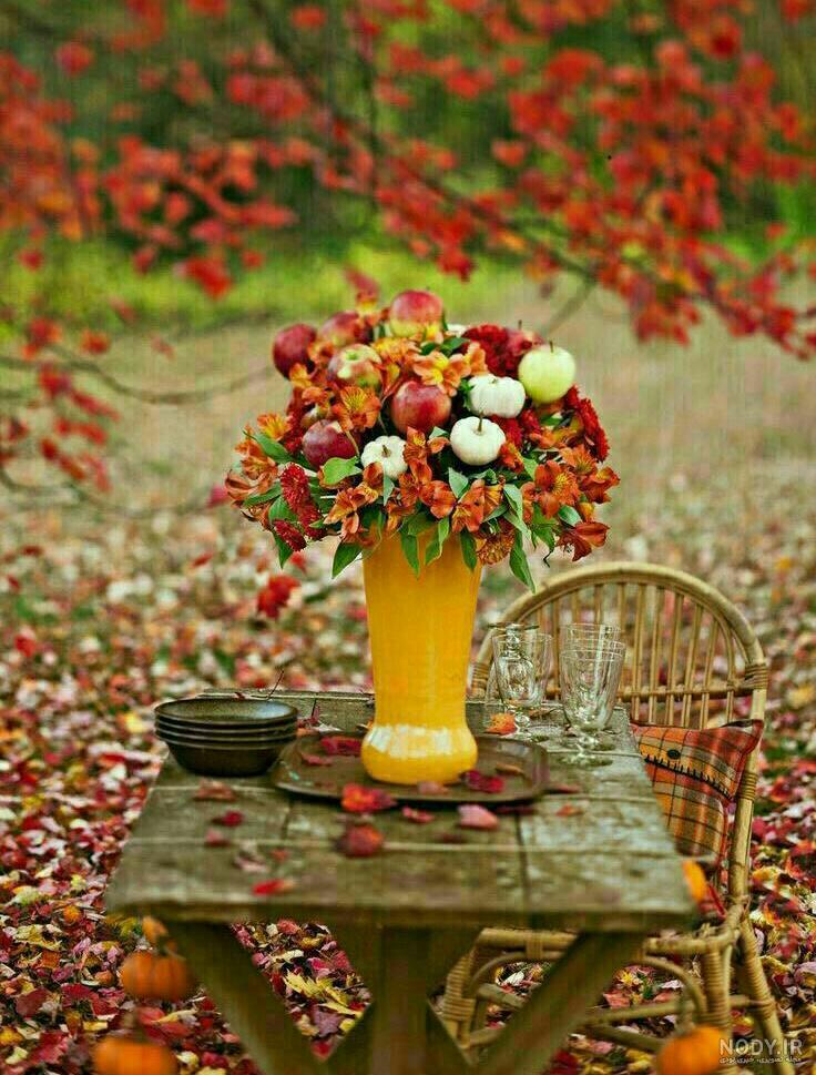  عکس پاییز بارانی