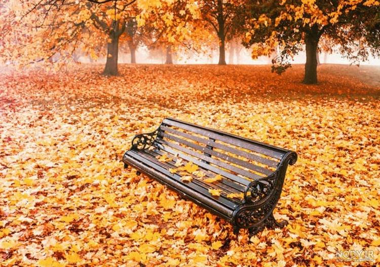  عکس پاییز بارانی