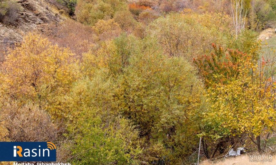 جاهای دیدنی بهارستان اصفهان جاهای دیدنی بهارستان اصفهان