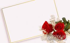 حاشیه گل زیبا حاشیه گل زیبا