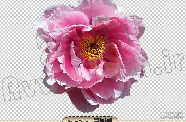 دانلود png برای اینشات دانلود png برای اینشات