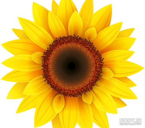 دانلود مجموعه عکس های png دانلود مجموعه عکس های png