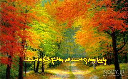 عکس بارش باران در شب عکس بارش باران در شب