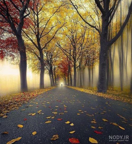 عکس زیبای خالی برای نوشتن