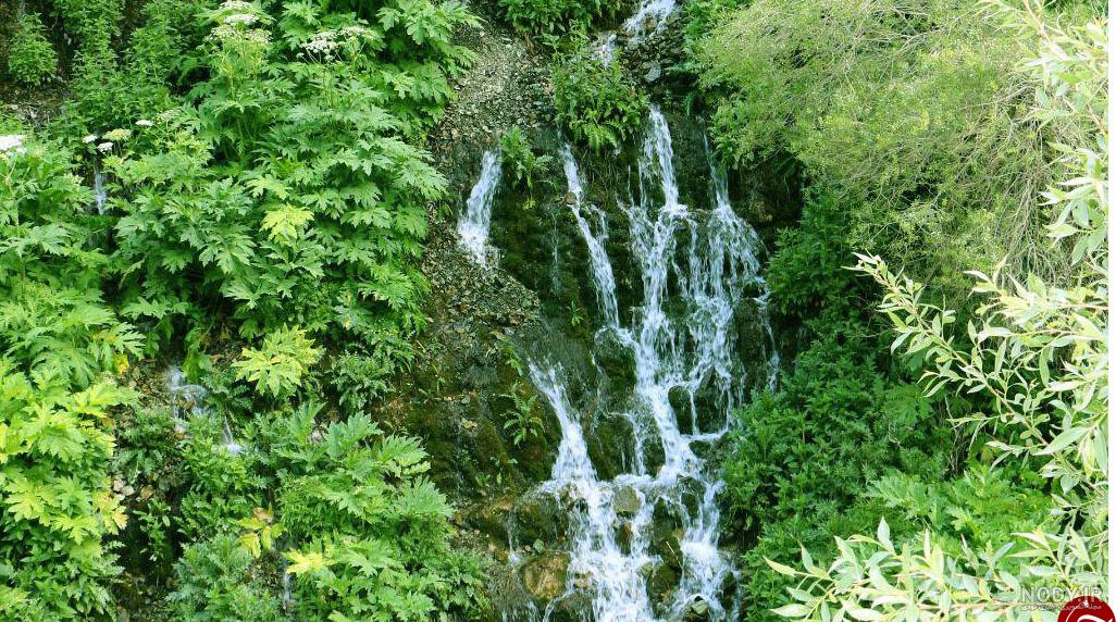 عکس طبیعت چشمه بل عکس طبیعت چشمه بل