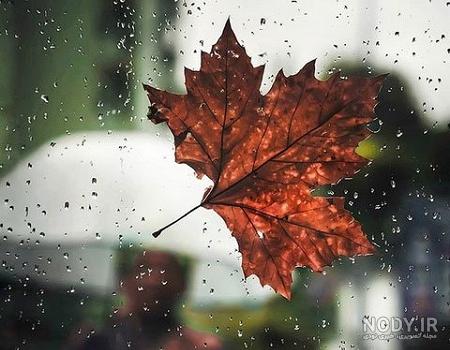 عکس نوشته خداحافظی با فصل پاییز عکس نوشته خداحافظی با فصل پاییز