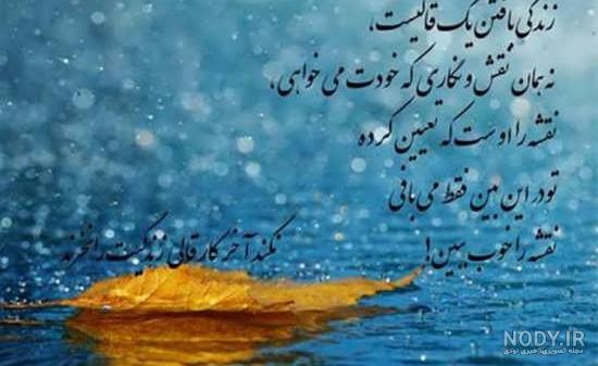پروفایل زندگی زیباست پروفایل زندگی زیباست