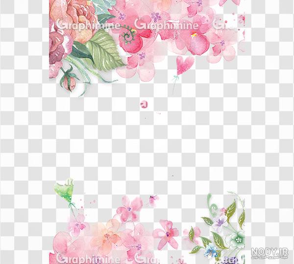 عکس های گل png عکس های گل png