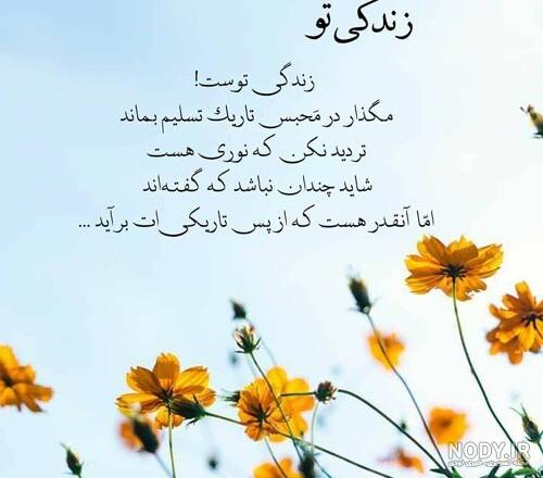 پروفایل زندگی زیباست پروفایل زندگی زیباست