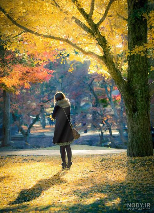 عکس گل پاییزی عکس گل پاییزی