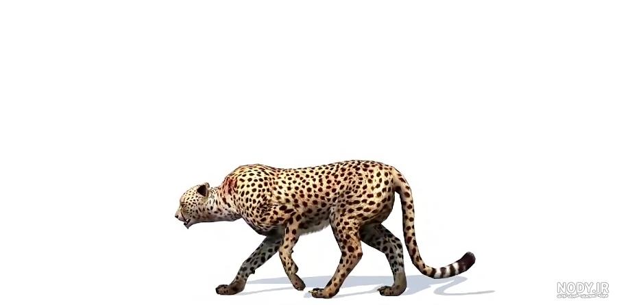 نقاشی پلنگ صورتی با قلب
