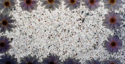 عکس غمگین بدون متن عاشقانه