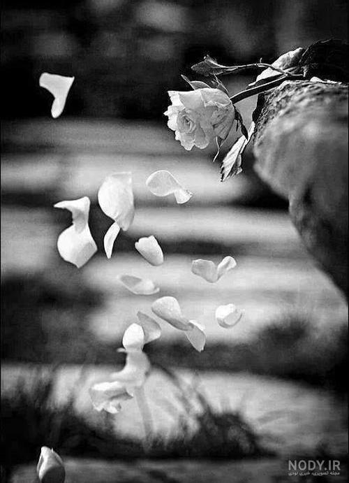 عکس غمگین بدون متن عاشقانه