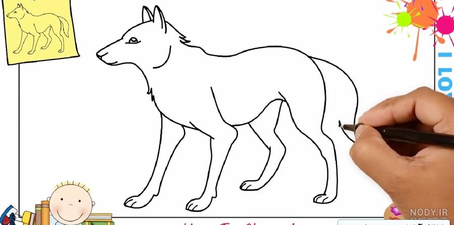 آموزش نقاشی گرگ وحشی