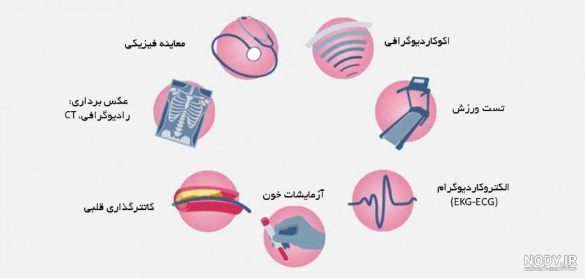تعداد ضربان قلب در تست ورزش