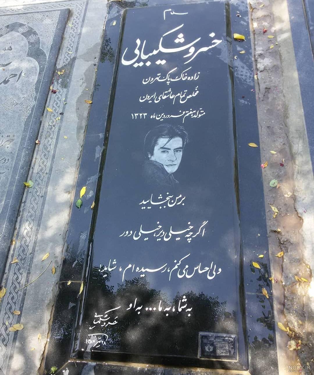 سخنان خسرو شکیبایی در مورد عشق