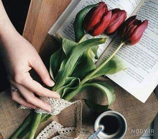 عکس ایده گل