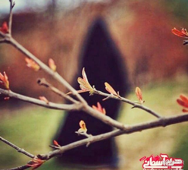 عکس دختر چادری از پشت سر عکس دختر چادری از پشت سر