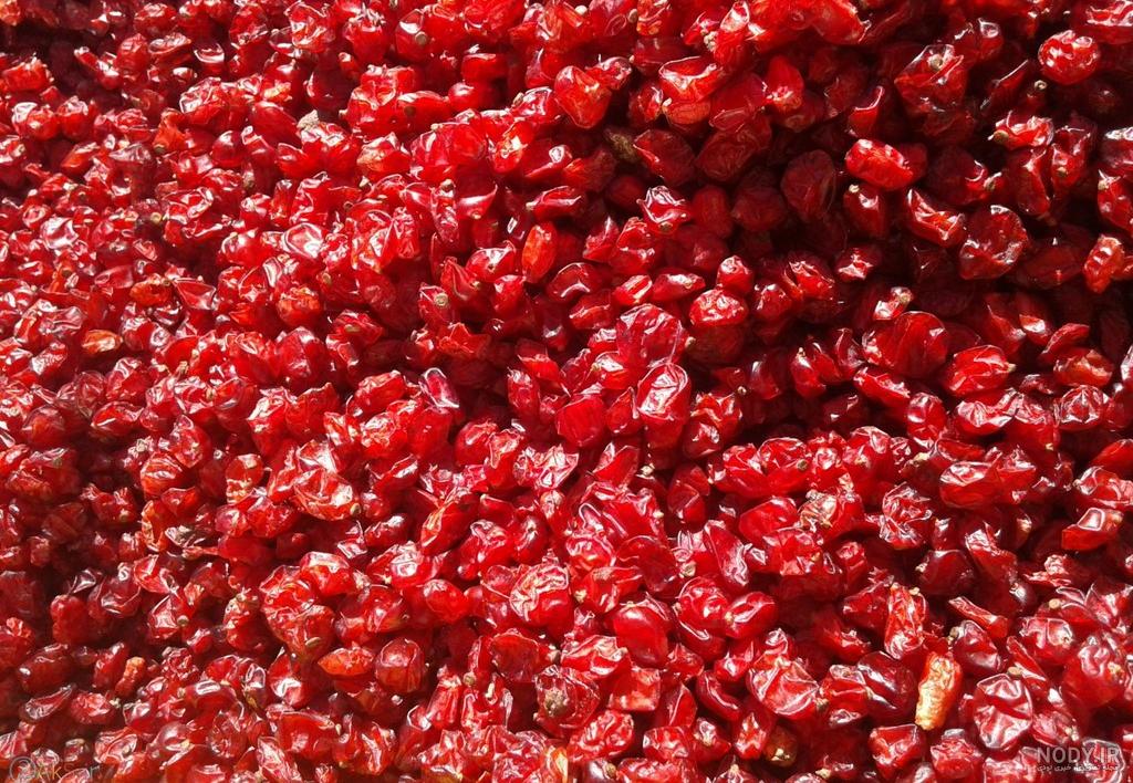 عکس زرشک کوهی