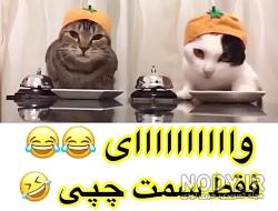 عکس های خنده دار دختر کفشدوزکی عکس های خنده دار دختر کفشدوزکی
