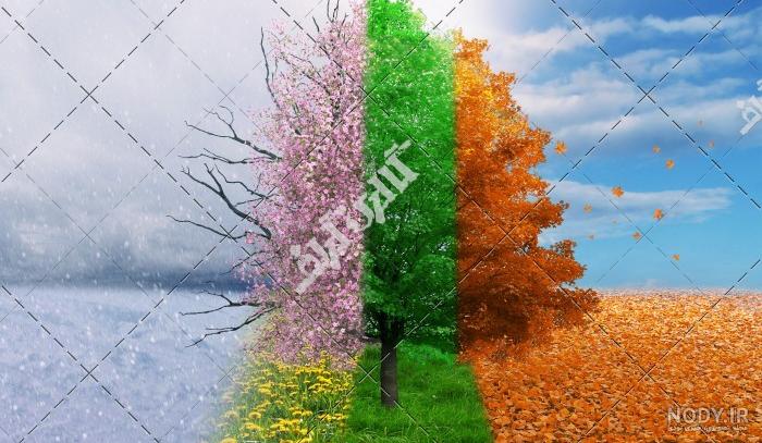 عکس پاییز برای پروفایل واتساپ