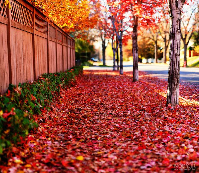 عکس پاییز مبارک