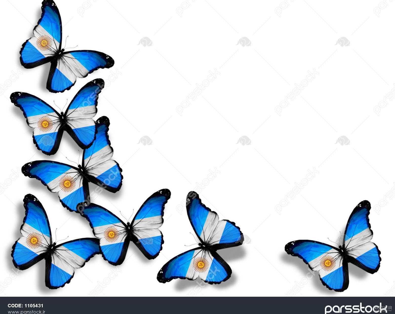 عکس پرچم پرتغال عکس پرچم پرتغال