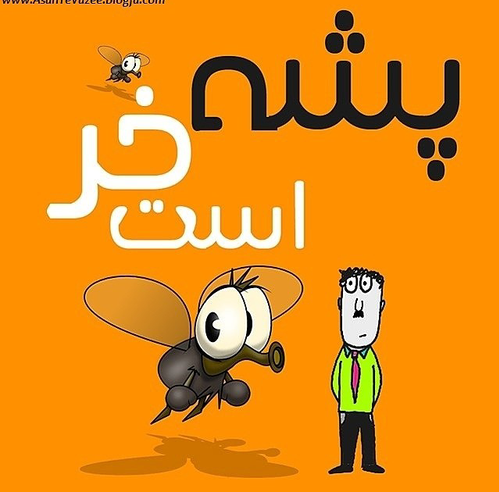 عکس پشه تهران، استان تهران