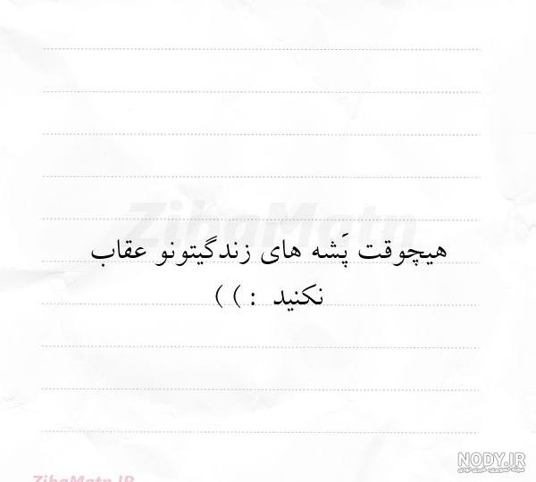 عکس پشه سیاه