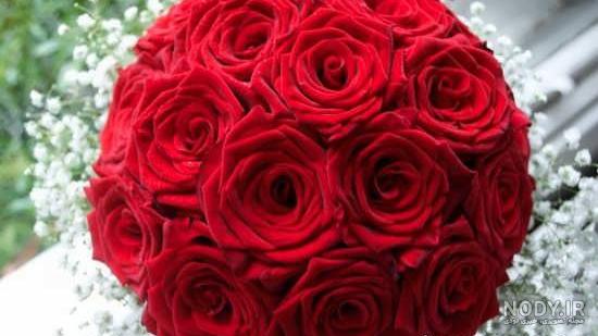 عکس گل برای پروفایل شاد
