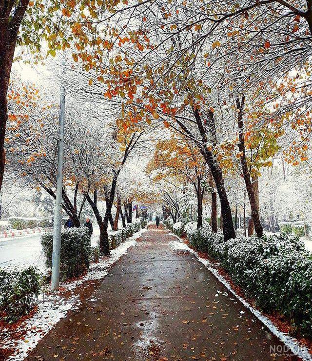 عکسهای پاییز و زمستان