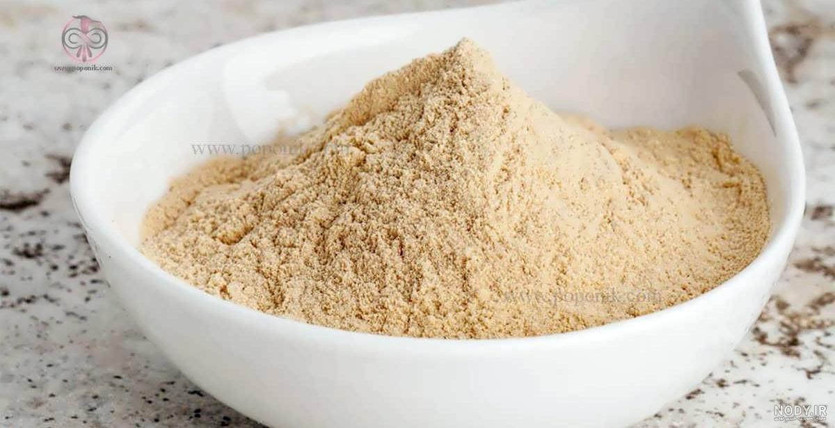 قیمت ثعلب دیجی کالا