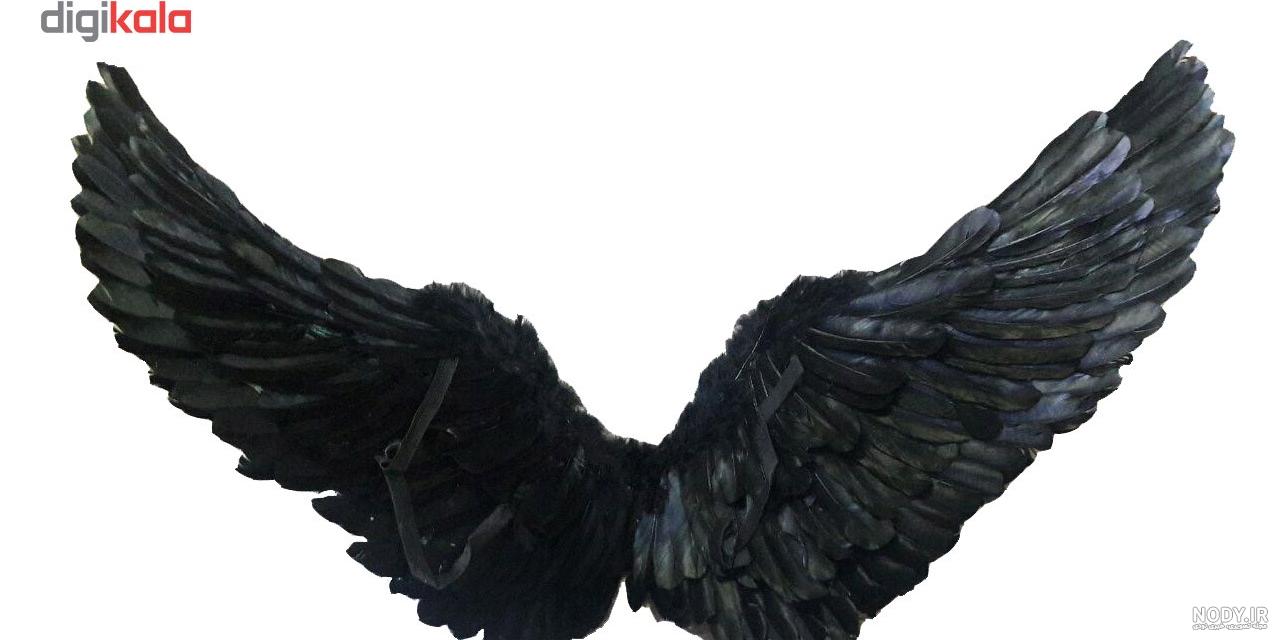قیمت عروسک پرنده قیمت عروسک پرنده