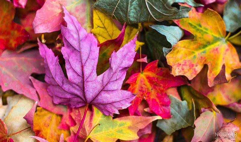 متن پاییزی برای اینستاگرام