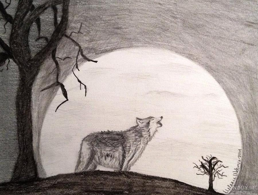 نقاشی گرگ و ماه ساده