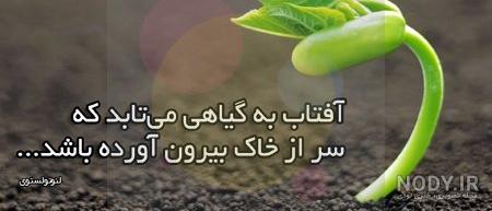 پروفایل موفق خواهم شد پروفایل موفق خواهم شد