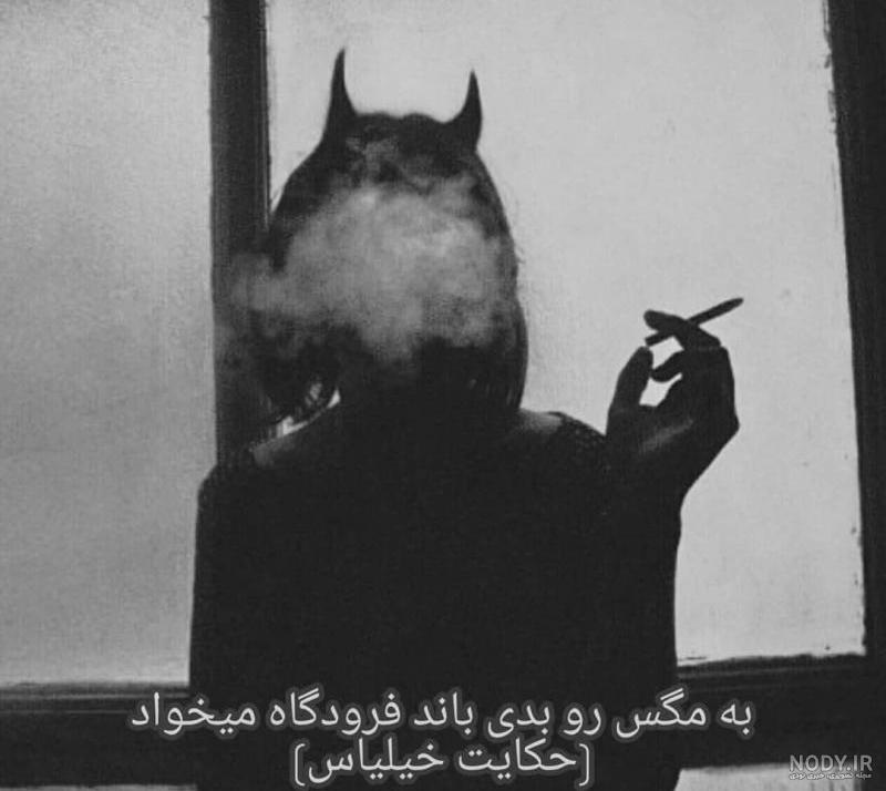 پشه سیاه دستشویی