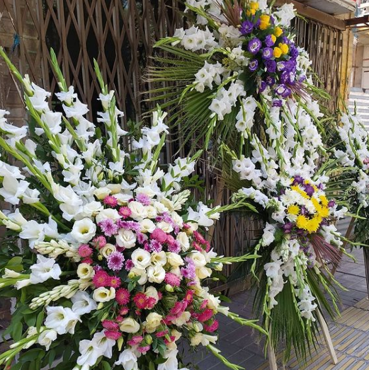گل ارزان در کرج گل ارزان در کرج