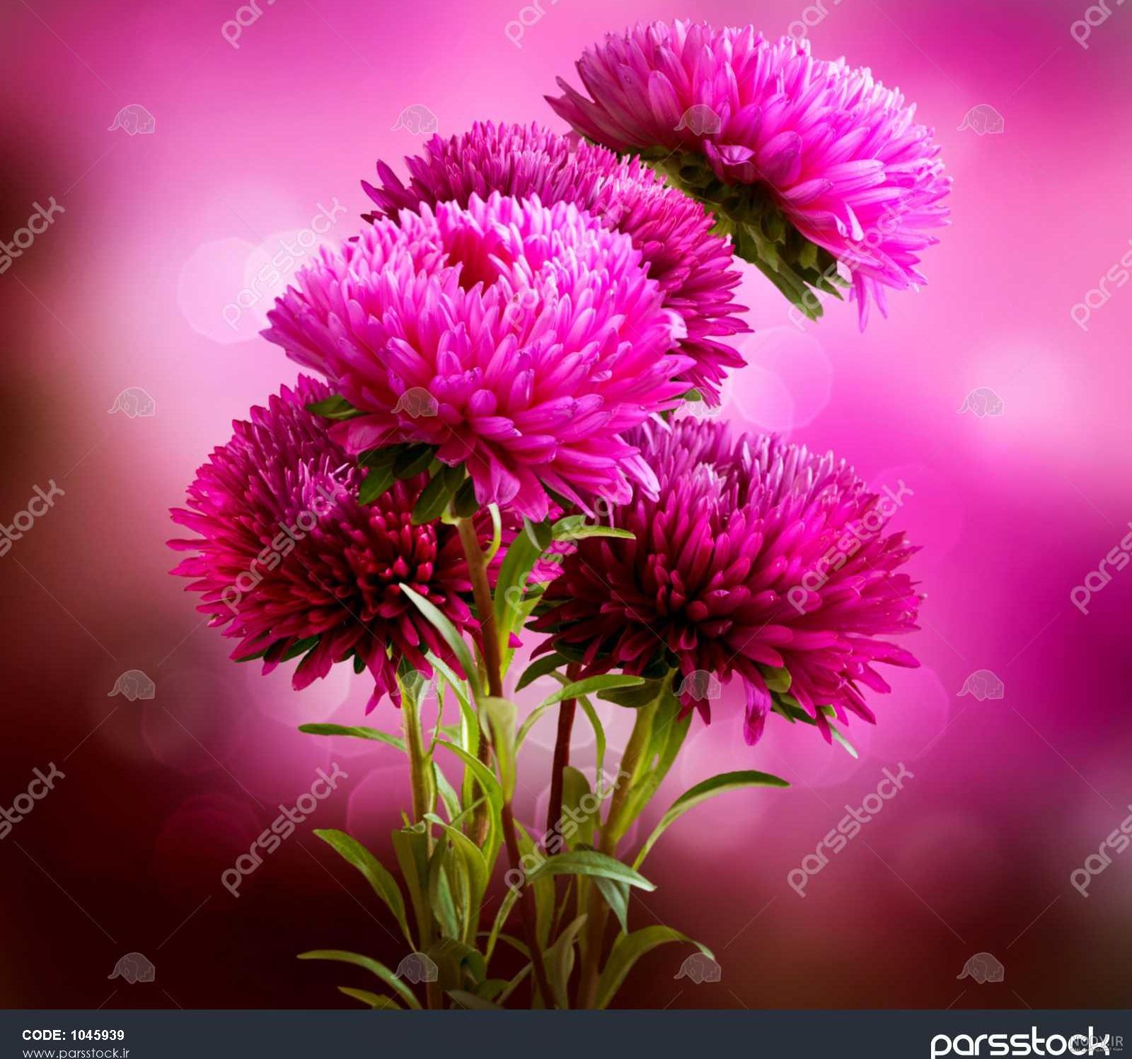 دسته گل مینا دسته گل مینا