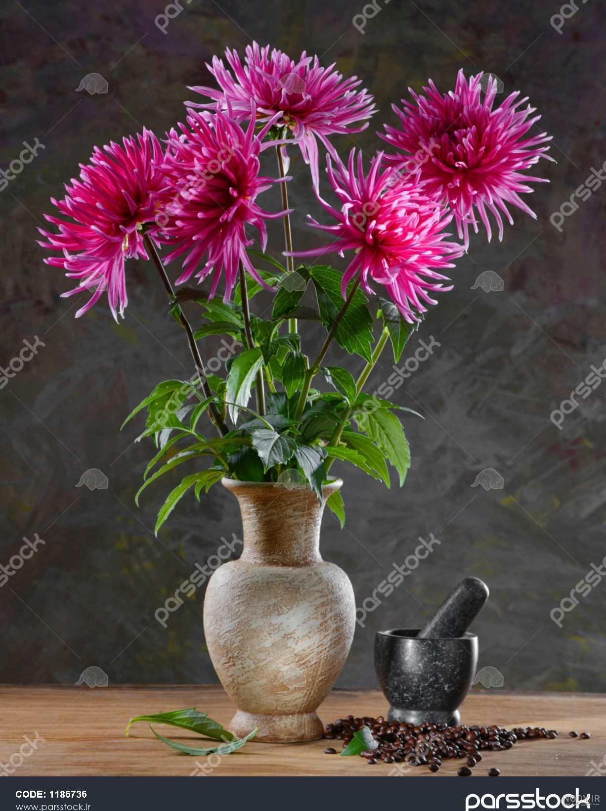دمنوش گل مینا دمنوش گل مینا