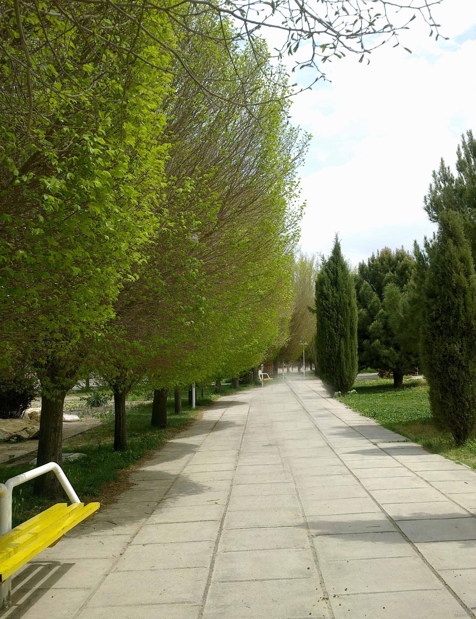 شروع پیاده روی